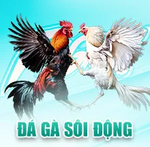 daga-555win